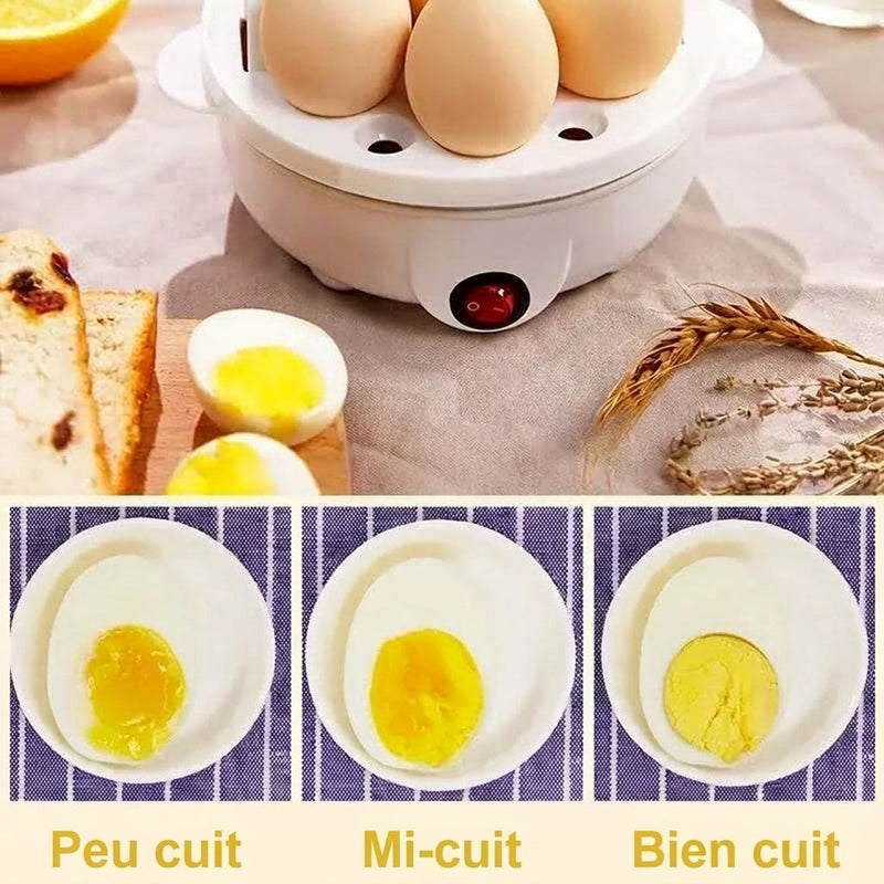 BoilMatek Cuiseur À Œufs