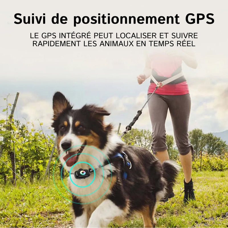 ChienMote Colliers GPS pour Chien