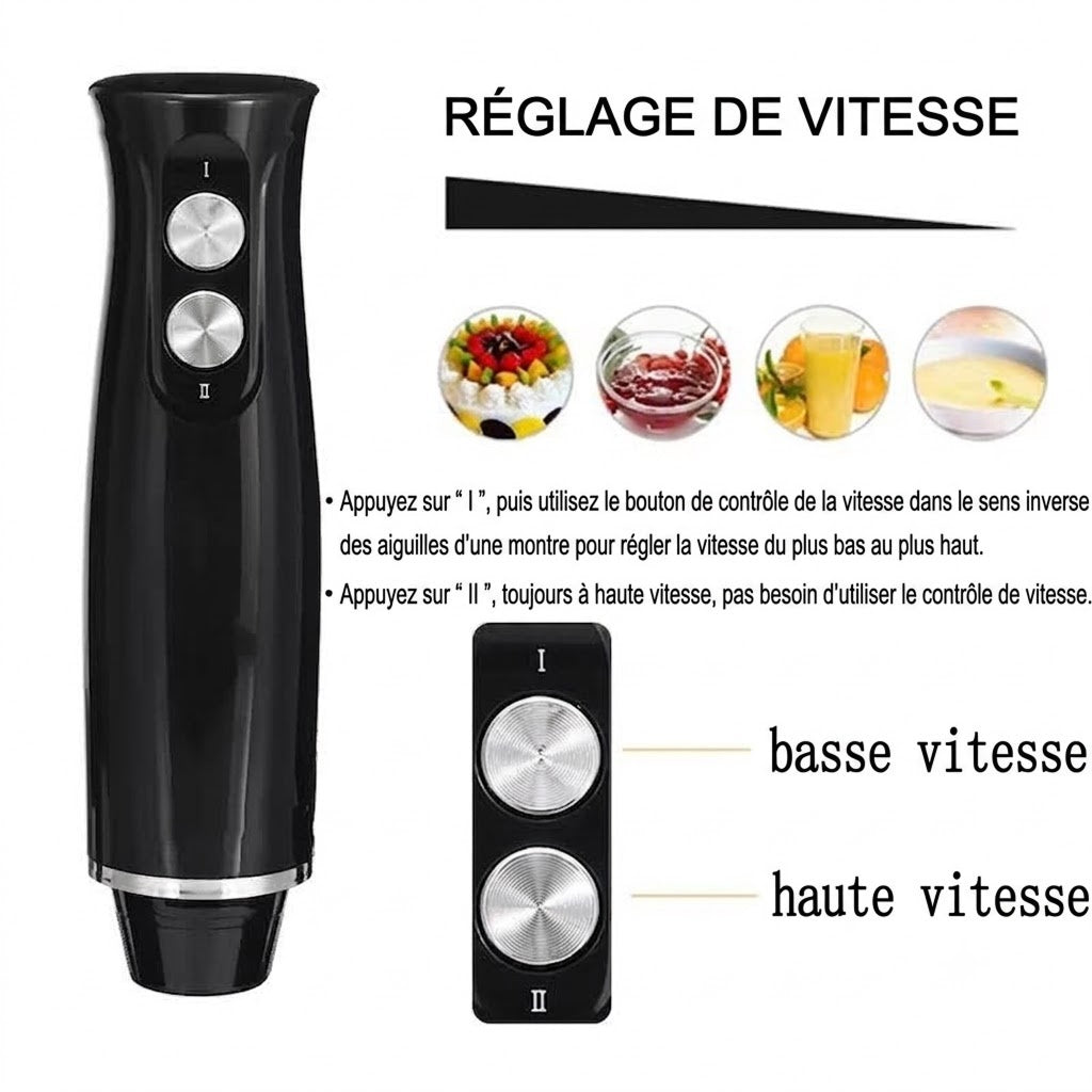 BlenDiox Mixeur Plongeant