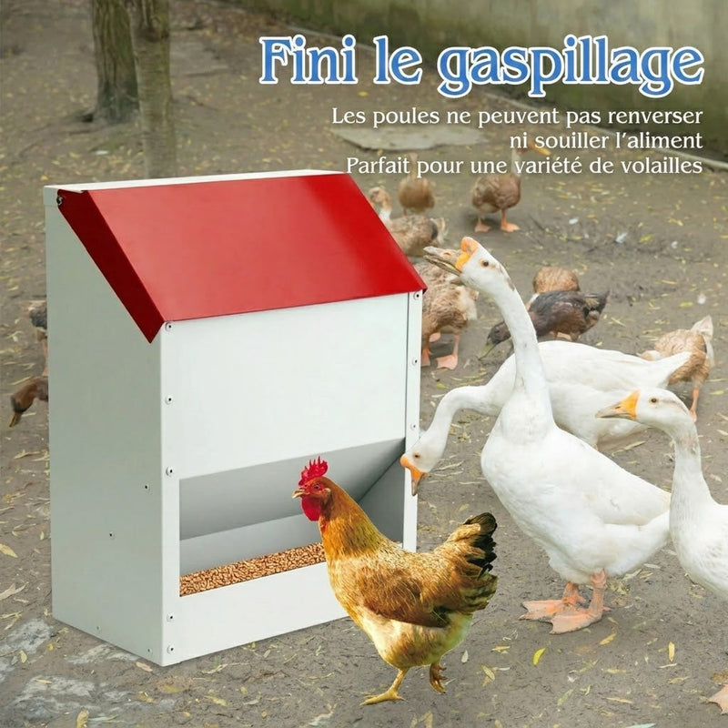 Flockixal Mangeoire Automatique Pour Poules