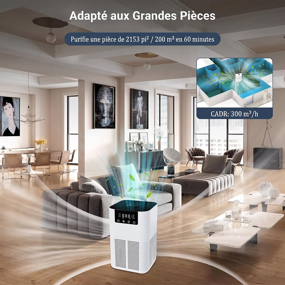 Buddemas Purificateur d'Air