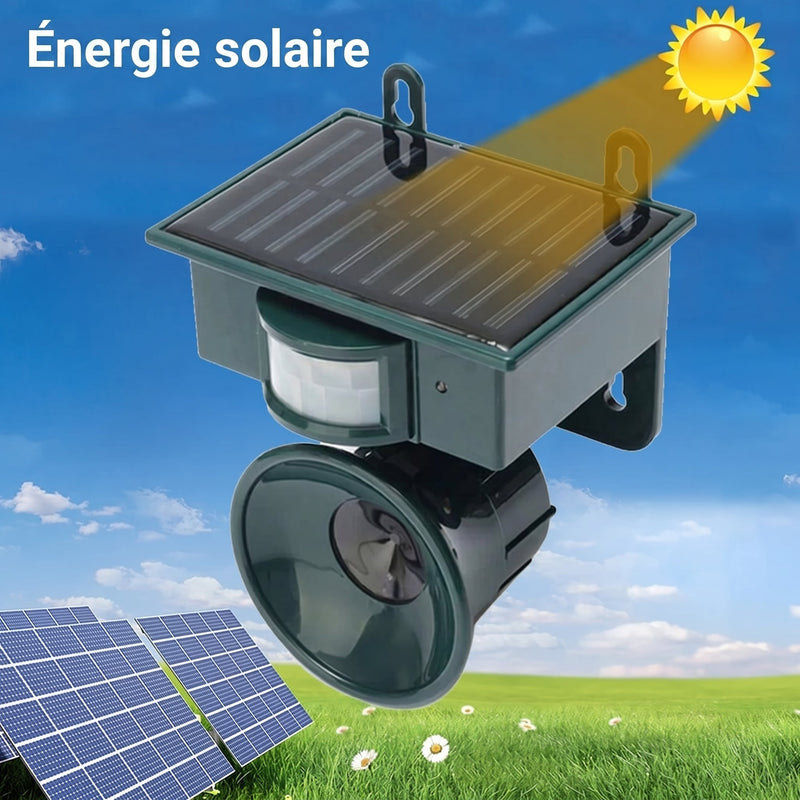 SonicSafy Repulsif Oiseaux Ultrason