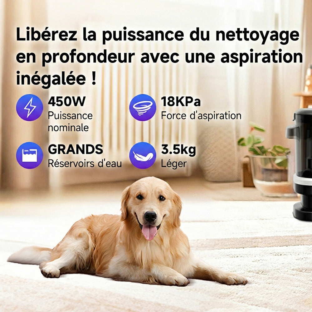 CarpZapi Nettoyeur Vapeur Pour Canapé