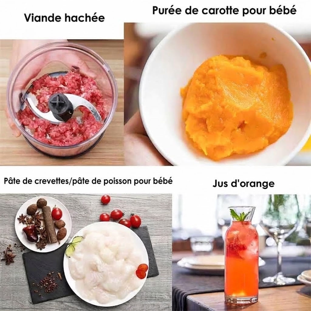 BlenDiox Mixeur Plongeant