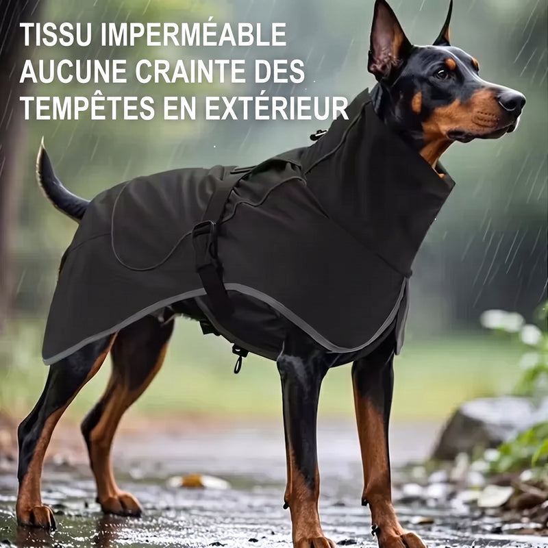 RainoTail Imperméable Pour Chien