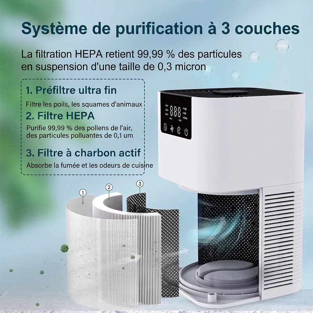 Buddemas Purificateur d'Air