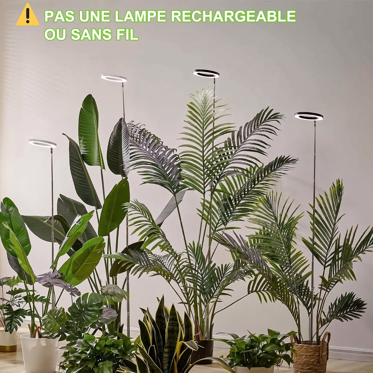 Floramoot  Lampe De Croissance Plante