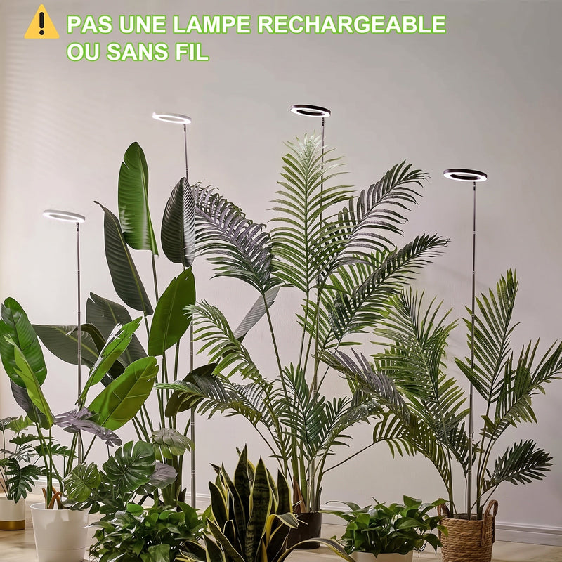 Floramoot  Lampe De Croissance Plante