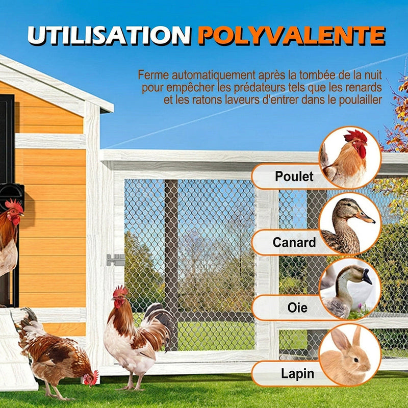 ChicxGate Porte Poulailler Automatique