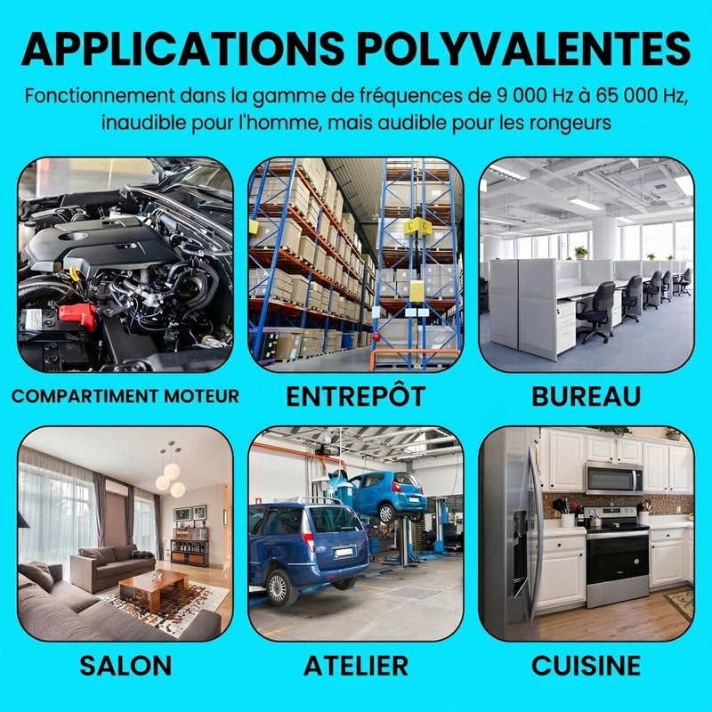AutexRat Repulsif Fouine Pour Voiture