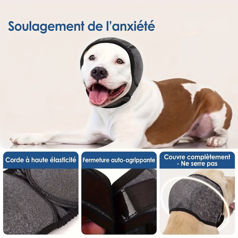 EarPupies Casque Anti Bruit Chien