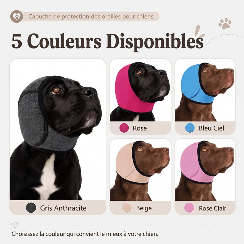 EarPupies Casque Anti Bruit Chien