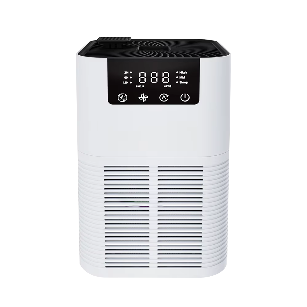 Buddemas Purificateur d'Air