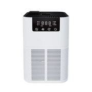 Buddemas Purificateur d'Air