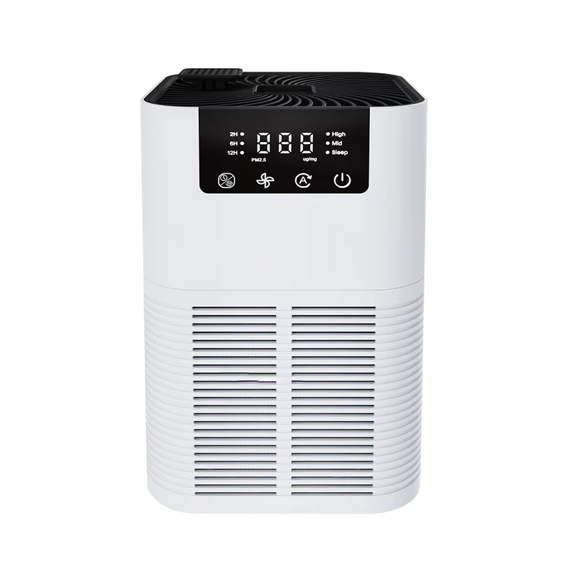 Buddemas Purificateur d'Air