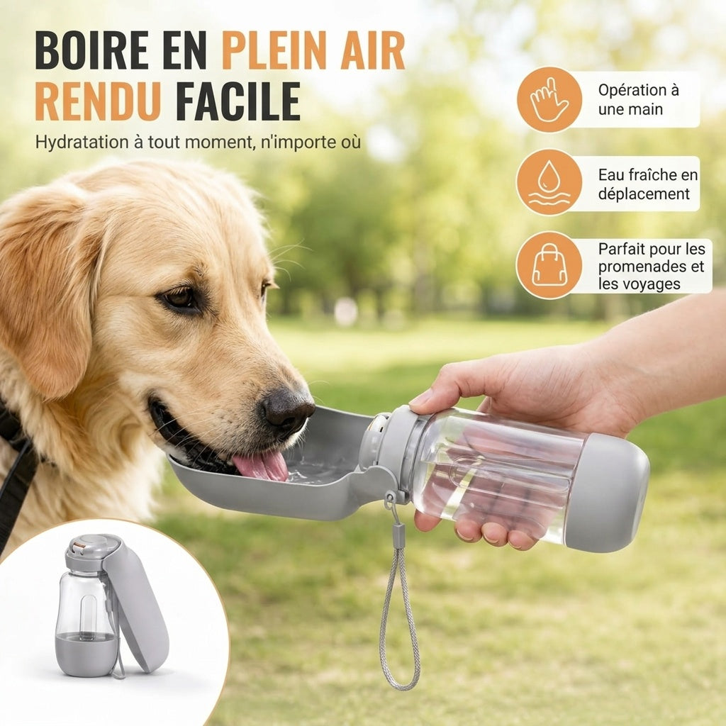 DogSiply Gourde Pour Chien