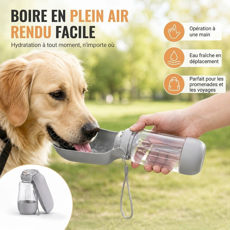 DogSiply Gourde Pour Chien