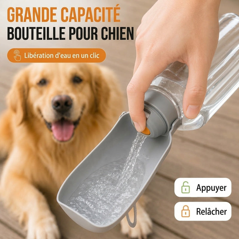 DogSiply Gourde Pour Chien