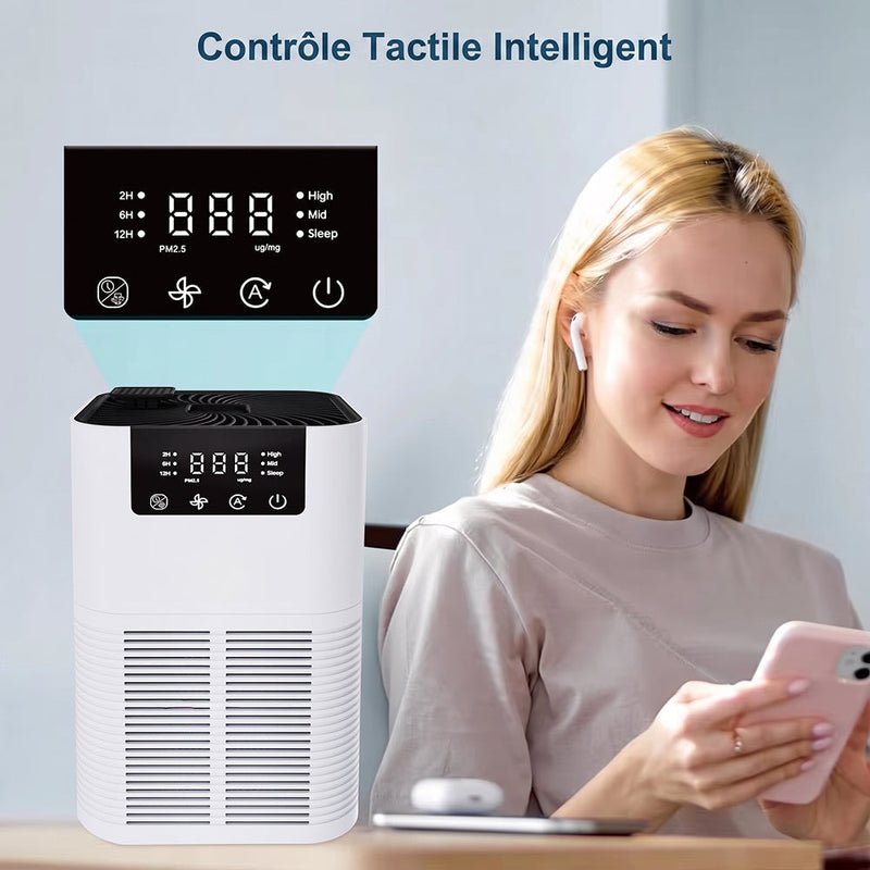 Buddemas Purificateur d'Air