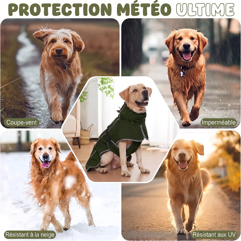 RainoTail Imperméable Pour Chien