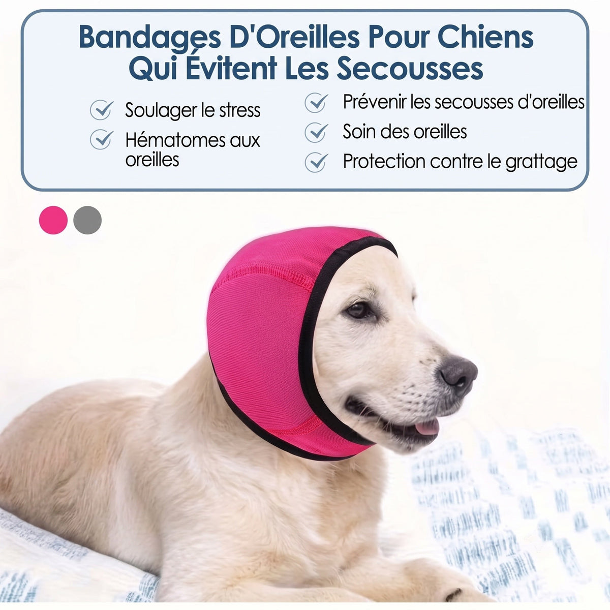 EarPupies Casque Anti Bruit Chien