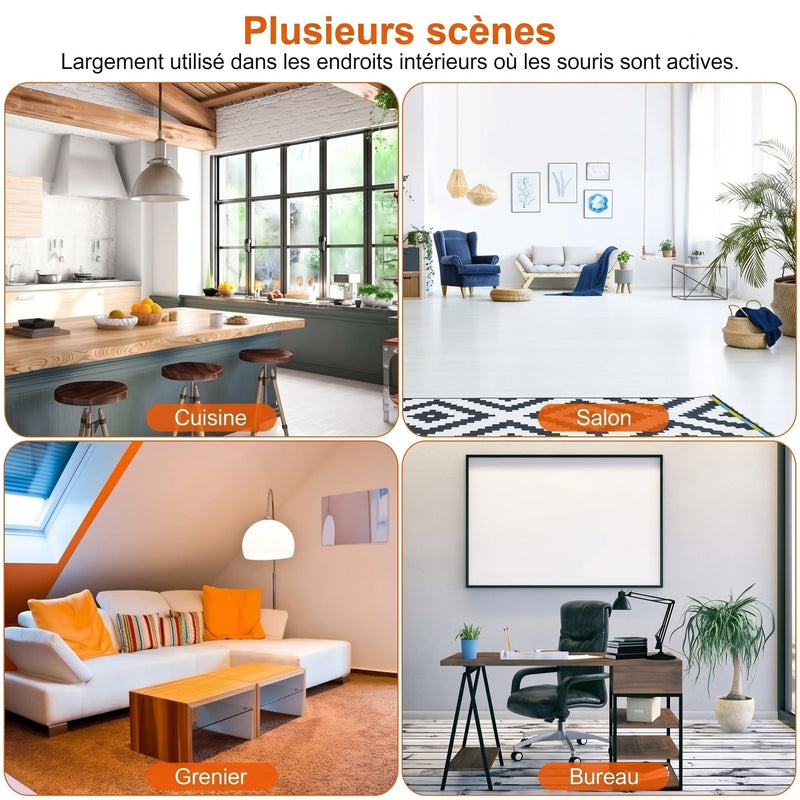 VoltTrapi Piege Souris Electrique