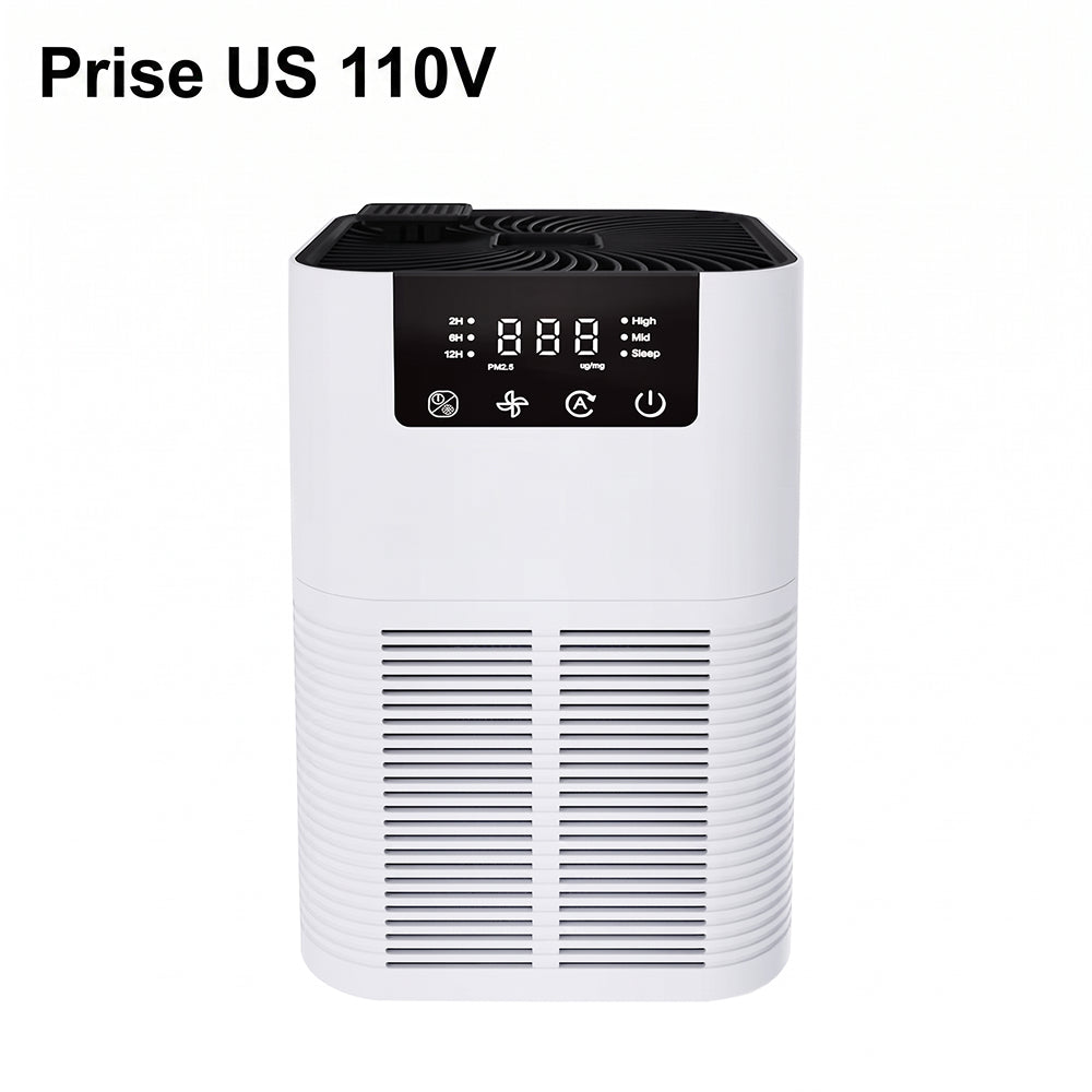 Buddemas Purificateur d'Air