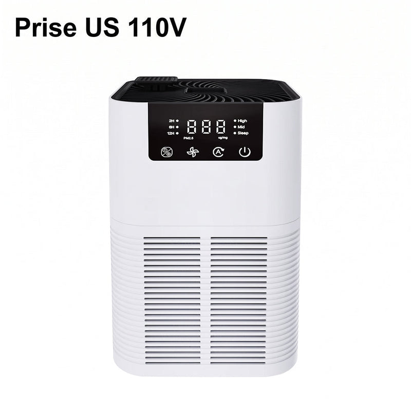 Buddemas Purificateur d'Air