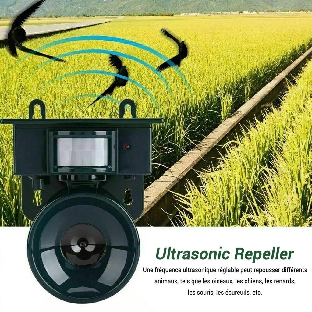 SonicSafy Repulsif Oiseaux Ultrason