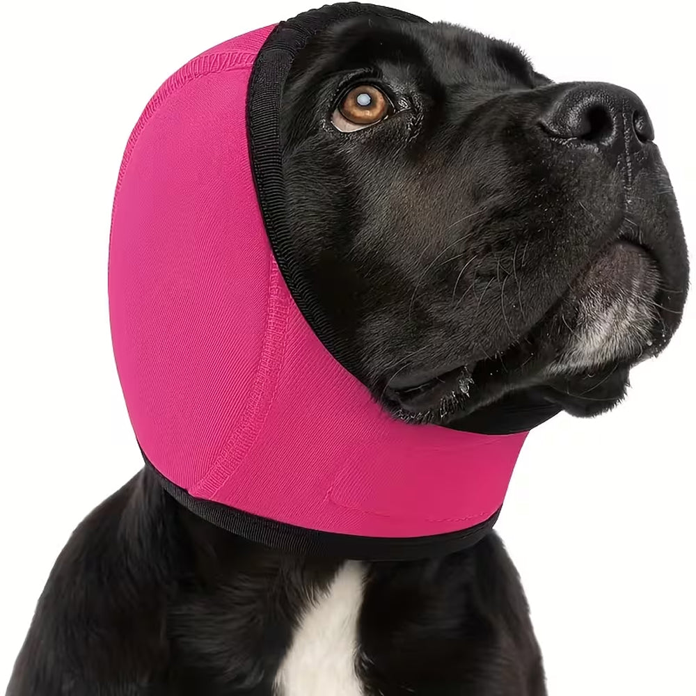 EarPupies Casque Anti Bruit Chien