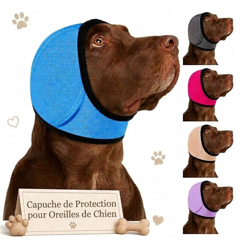 EarPupies Casque Anti Bruit Chien