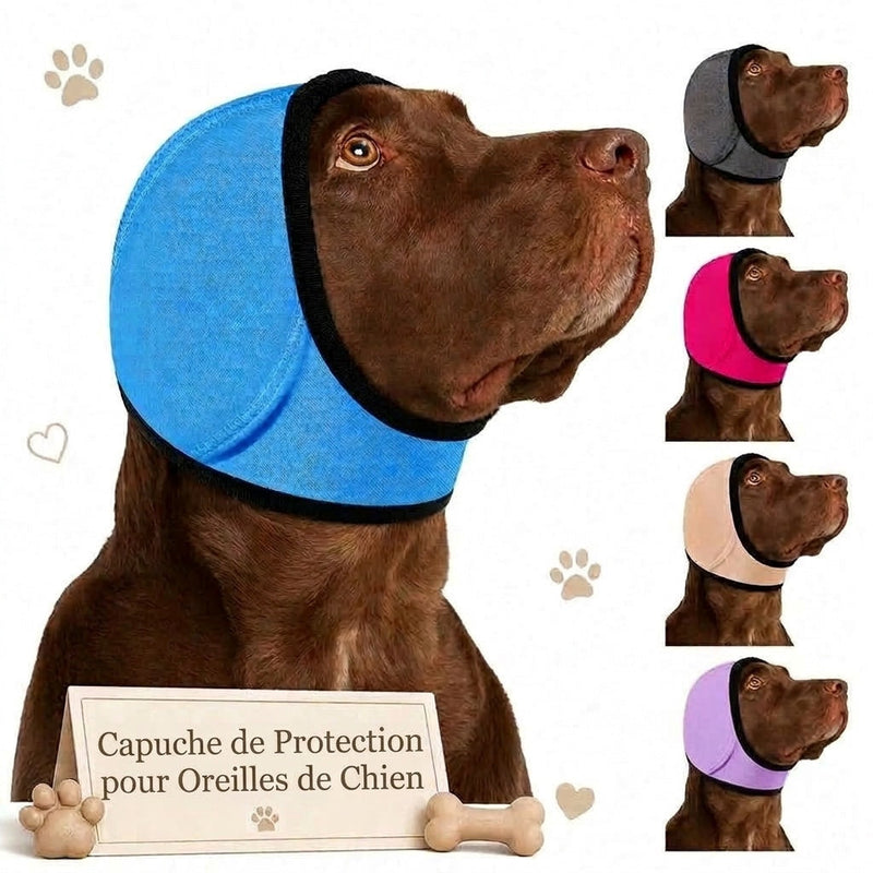 EarPupies Casque Anti Bruit Chien