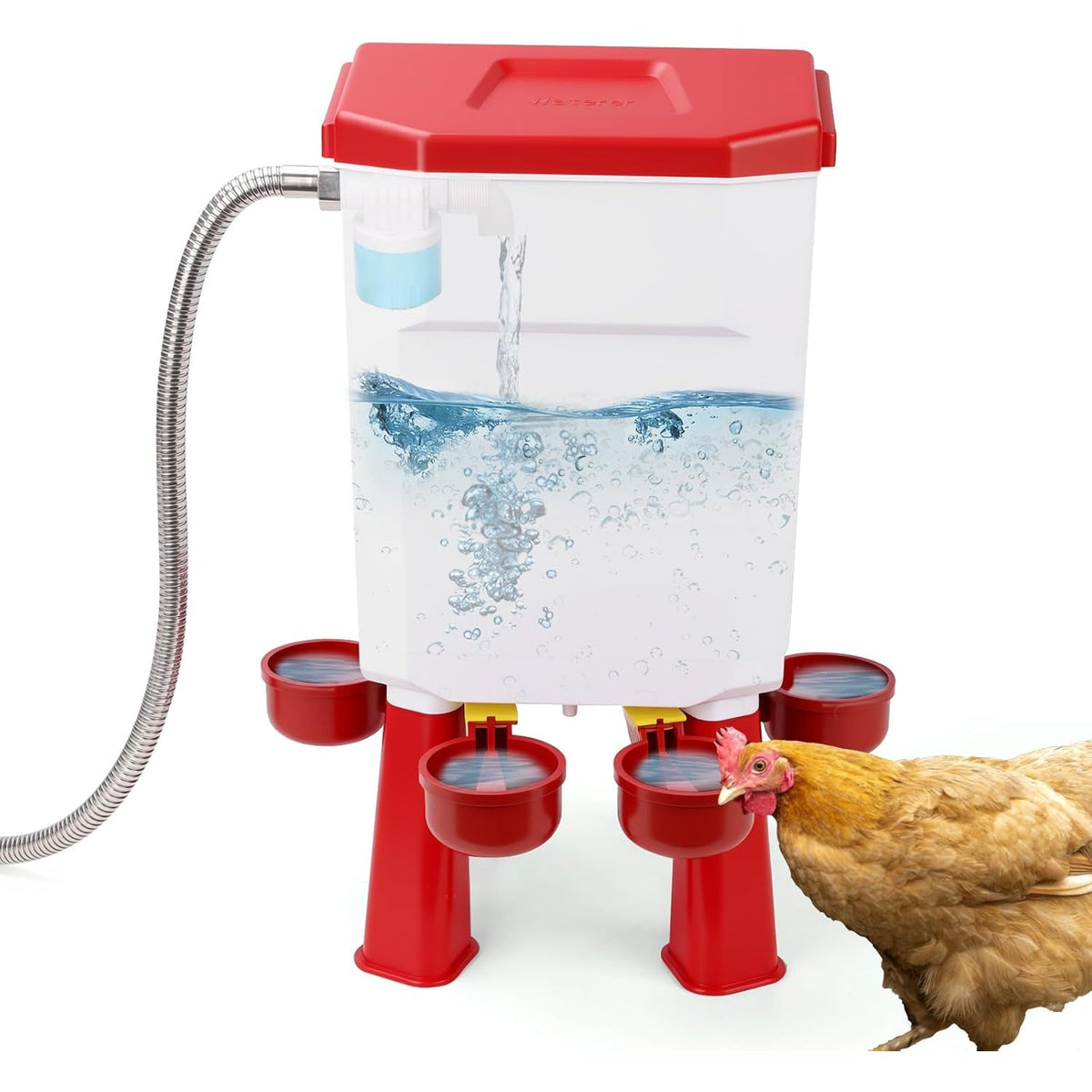 Flochiken Abreuvoir Automatique Poule