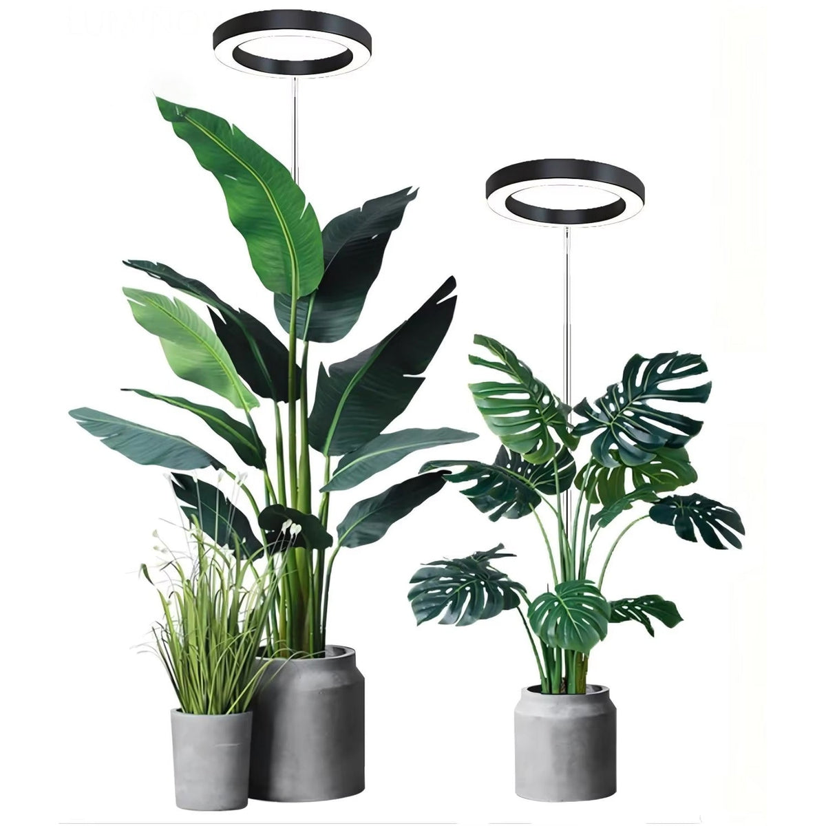 Floramoot  Lampe De Croissance Plante