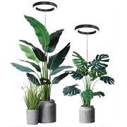 Floramoot  Lampe De Croissance Plante