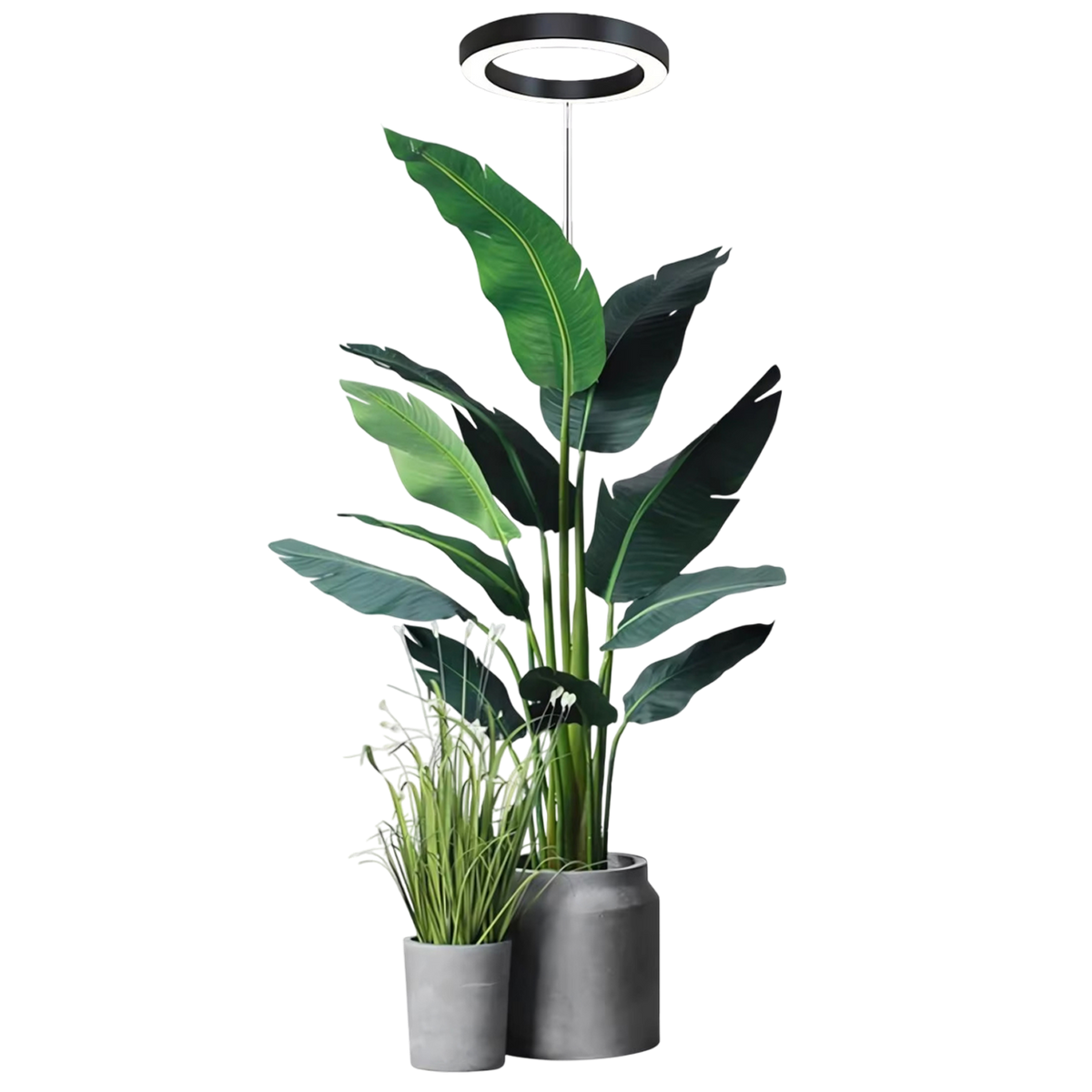 Floramoot  Lampe De Croissance Plante