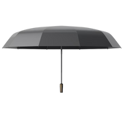 Foldrella Parapluie Compact