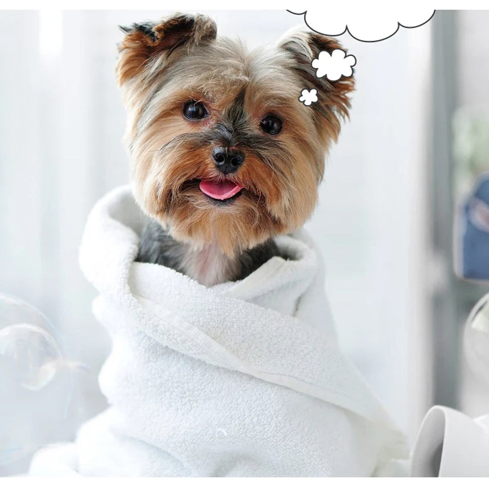 FuriCutx Tondeuse Pour Chien