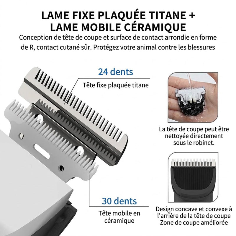 FurixCat Tondeuse Pour Chat
