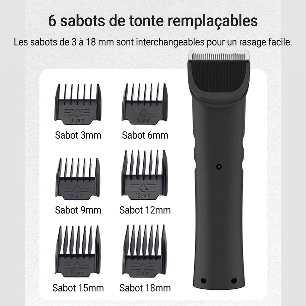 FurixCat Tondeuse Pour Chat