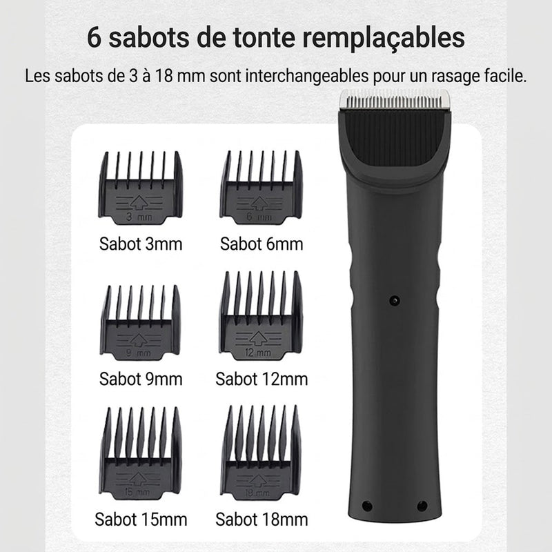 FurixCat Tondeuse Pour Chat
