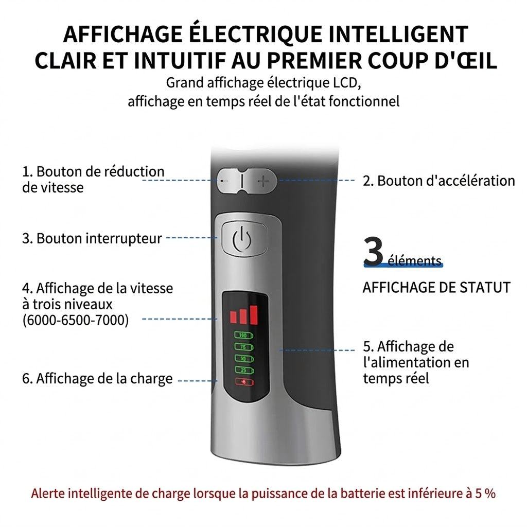 FurixCat Tondeuse Pour Chat