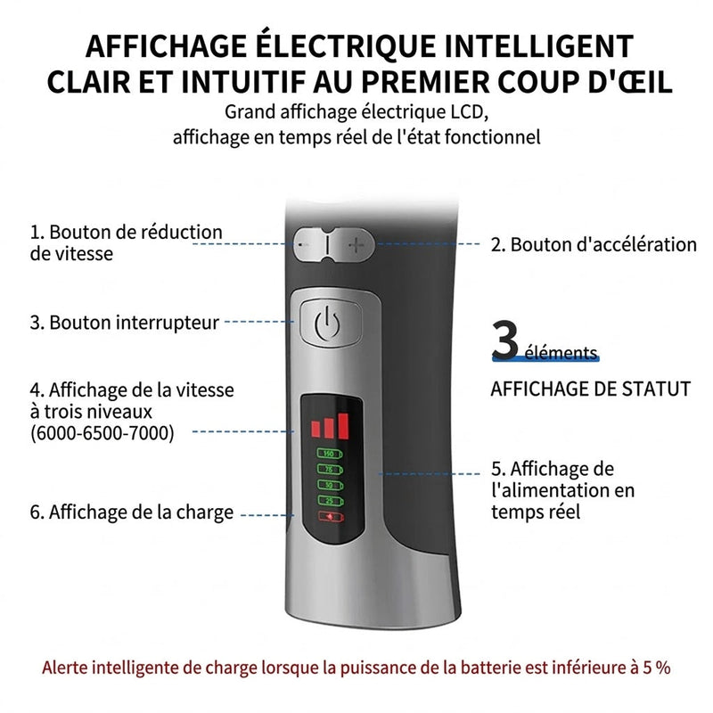 FurixCat Tondeuse Pour Chat