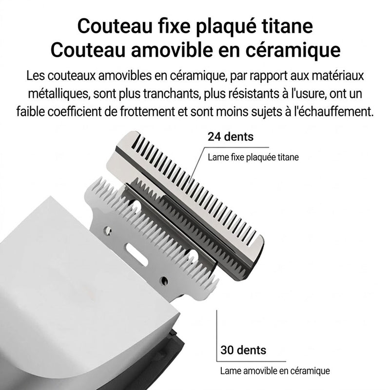 FurixCat Tondeuse Pour Chat