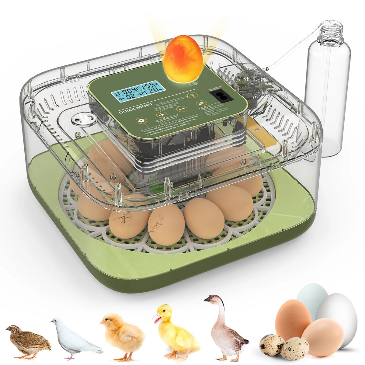 Hatchivax Incubateur Oeuf