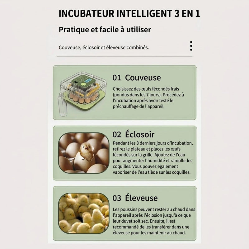 Hatchivax Incubateur Oeuf