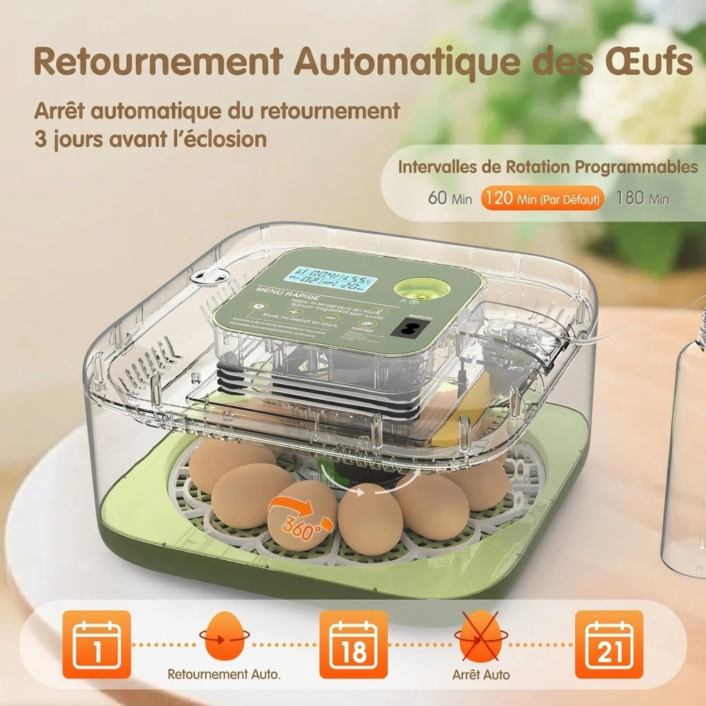 Hatchivax Incubateur Oeuf