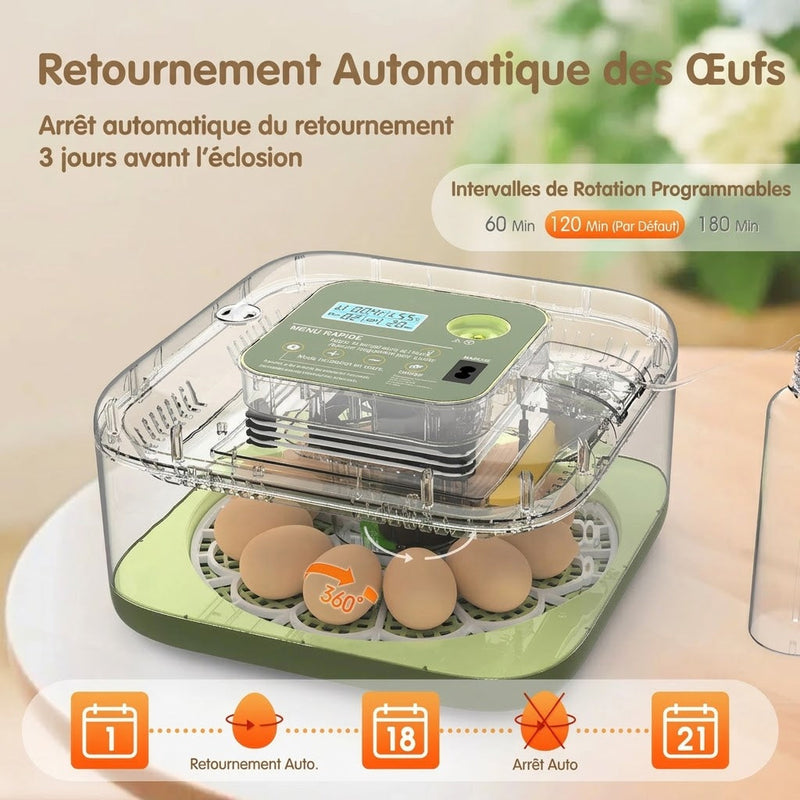 Hatchivax Incubateur Oeuf