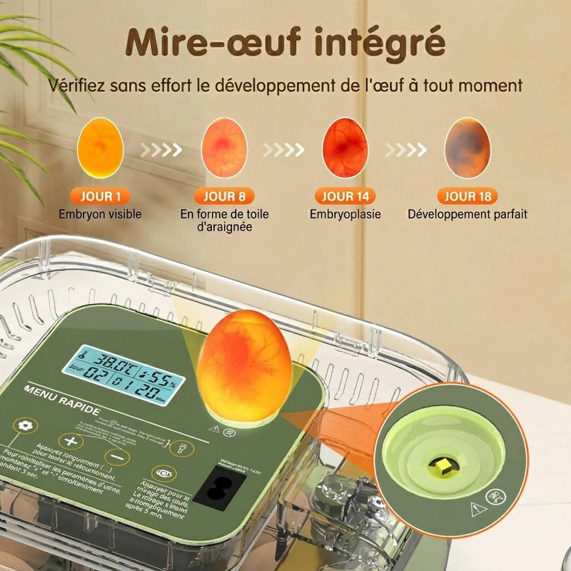 Hatchivax Incubateur Oeuf