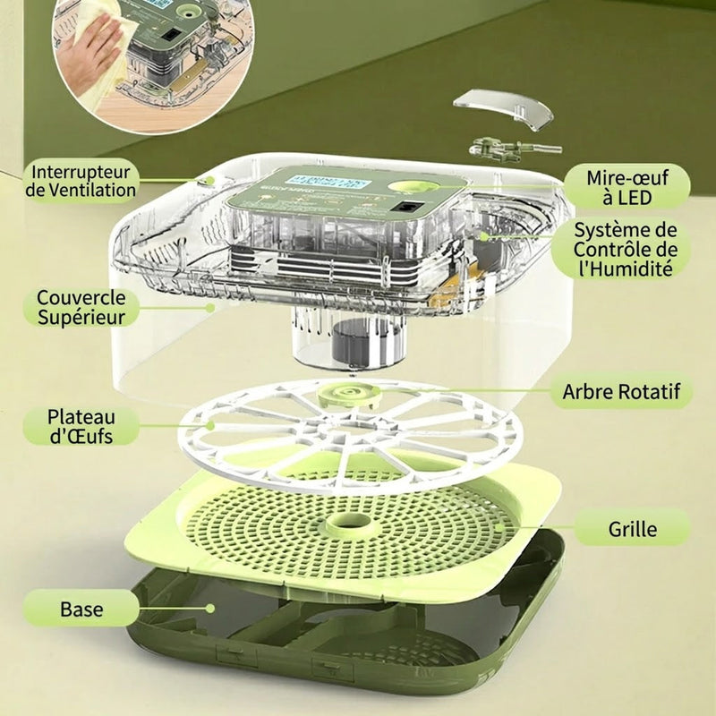 Hatchivax Incubateur Oeuf